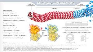 thumbnail of dbpedia resource