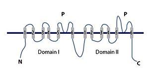 thumbnail of dbpedia resource