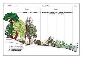 thumbnail of dbpedia resource