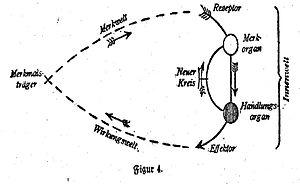 thumbnail of dbpedia resource