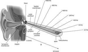 thumbnail of dbpedia resource