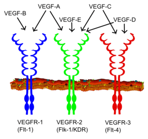 thumbnail of dbpedia resource