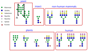 thumbnail of dbpedia resource