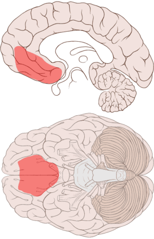 thumbnail of dbpedia resource