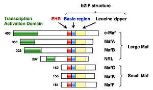 thumbnail of dbpedia resource