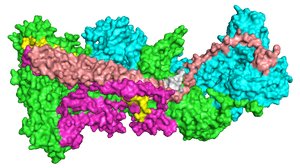 thumbnail of dbpedia resource