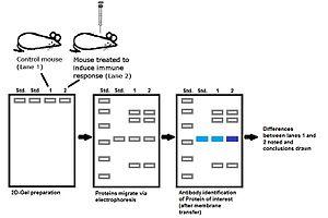 thumbnail of dbpedia resource