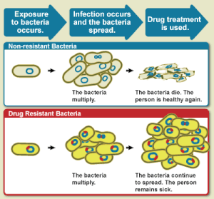 thumbnail of dbpedia resource