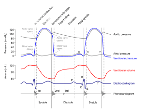 thumbnail of dbpedia resource