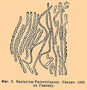 thumbnail of dbpedia resource