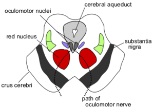 thumbnail of dbpedia resource