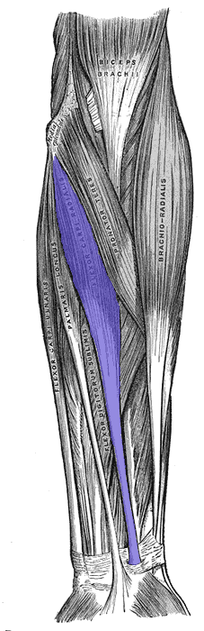 thumbnail of dbpedia resource