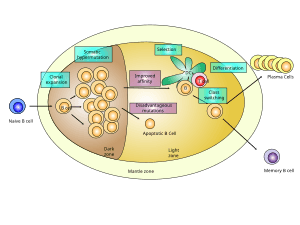 thumbnail of dbpedia resource