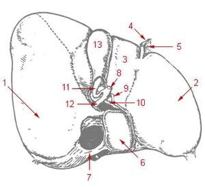 thumbnail of dbpedia resource