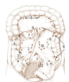 thumbnail of dbpedia resource