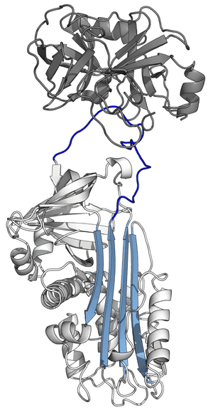 thumbnail of dbpedia resource